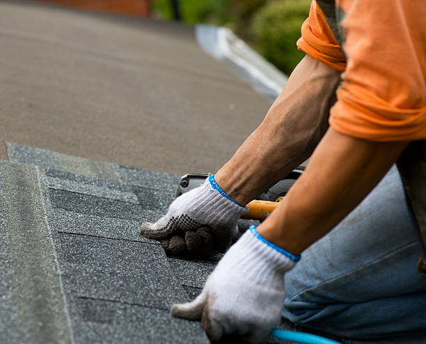 Best Storm Damage Roof Repair  in Vernon Hls, IL