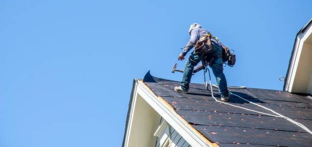 Best Residential Roofing Contractor  in Vernon Hls, IL